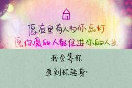 洛江侦探公司