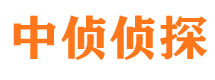 洛江侦探公司